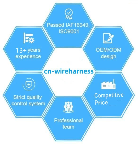 Câblage électrique d'OEM 11